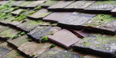 Fairwarp roof repair costs